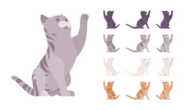 White, black, orange, grey stridigree cat playing set — стоковый вектор