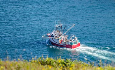 Parlak kırmızı balık tutma botu başları dışarı denize gün güneşli yaz St John's liman Newfoundland, Canada. 
