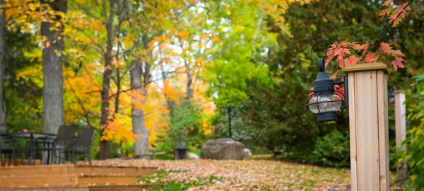 Colori di autunno, foglie cadute e una lanterna in un parco . — Foto Stock