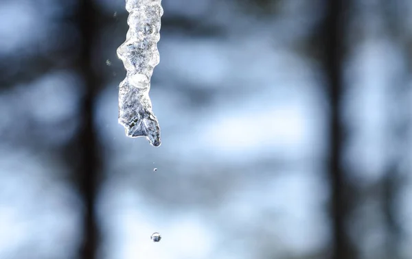 Abstracte ijspegels sparkle, langzaam smelten in milde winterzon. — Stockfoto