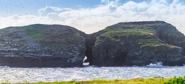 El sol brilla en la isla de aves en Maberly, Terranova . — Foto de Stock