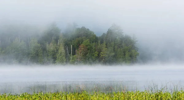 Letní ranní mlha mlhy zvedá z jezera do chladného vzduchu. — Stock fotografie