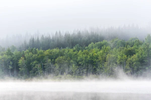 Letní ranní mlha mlhy zvedá z jezera do chladného vzduchu. — Stock fotografie