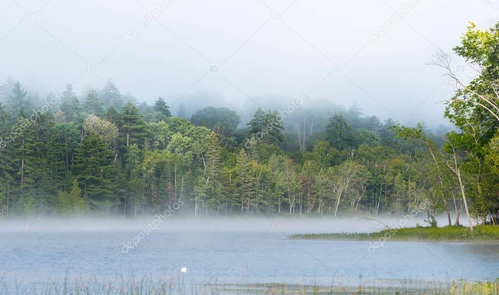Summer morning foggy mist rises from lake into cool air.