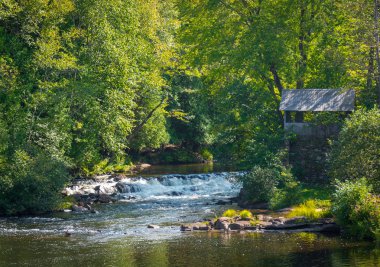 Eski tuğla döken, yeşil yaz ağaçlar duvar. Su akışı doğal bir ormanlık ortamda gevezelik rapids.