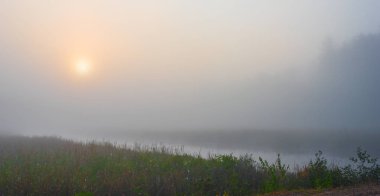 Misty sabah sunrise bir bataklık sulak yaz.
