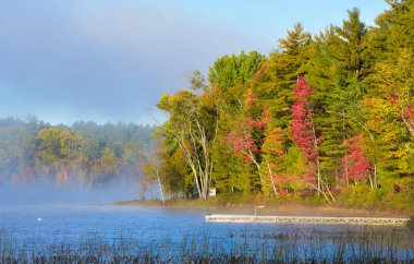 Late summer sun shines on morning misty fog that rises from a lake.   Dock extends into a lake from shore.  Waterfront forest in morning mist. clipart