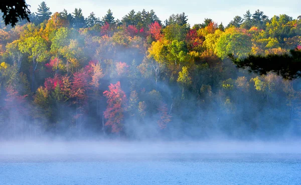 Fog and mist rises all around, partially enshrouding a colorful, waterfront mixed deciduous forest at a lakeside. — Stock Photo, Image