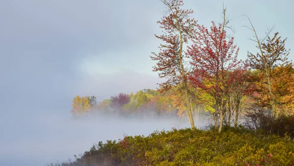 Vířící mlha ranní mlhy zvedá z jezera do studeného vzduchu. Příroda zobrazení stavů vody před barevné listnaté mokřadní lesní v ranním slunci. — Stock fotografie