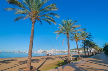 Sabah güneş, plaj boyunca terk edilmiş bir yelkenli görür. Su kenarında Ibiza, St Antoni de Portmany Balearic Islands, İspanya ve palmiye ağaçlarının satır satır.