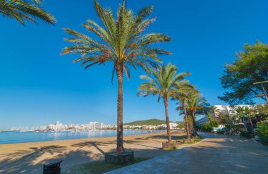 Ibiza güneş parlar Sant Antoni de Portmany, Sahilde yürüyüşe ana sahil boyunca veya kum. Kasım beach sıcak sabah ışığında.