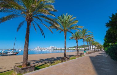 Adam tarafından terk edilmiş bir yelkenli kumsalda yürür. Su kenarında Ibiza, St Antoni de Portmany Balearic Islands, İspanya ve palmiye ağaçlarının satır satır.