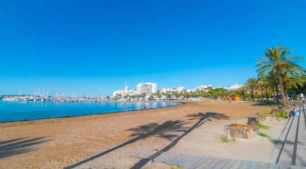 St Antoni de Portmany, Ibiza. Rij van palmen lijnen het strand. — Stockfoto
