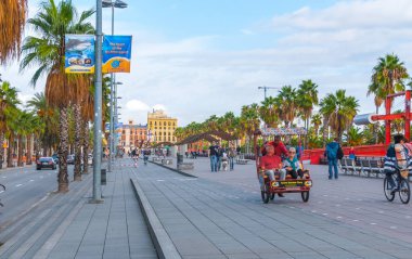 Barcelona, İspanya, 3 Kasım 2013: Avrupa'nın turizm Ekonomi, insanlar bir çekçek, Bisiklet ve yürüyüş, tarih içinde sıcak hava durumu yararlanarak binmek. Genç insanlar kentin palmiye ağaç yollar boyunca onların köpek yürüyüş.