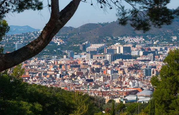 Barcelona cityscape widok przez drzewa z pobliskiego parku. Miasta miejski rozwalony gęstość budynków, mieszkań, mieszkanie, kościoły i rejony położony jest u podnóża wzgórza zwężająca — Zdjęcie stockowe