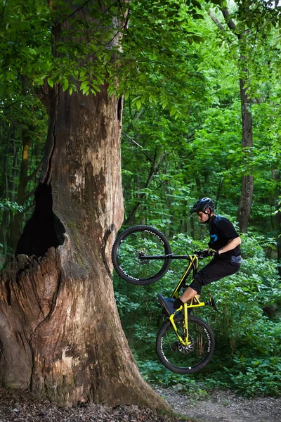 Чоловічі велосипеди в зеленому лісі . — стокове фото