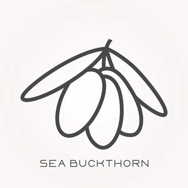 Line Icon Sea Buckthorn — Stock Vector