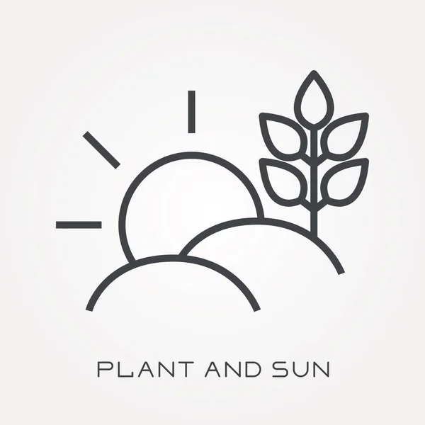 Línea Icono Planta Sol — Archivo Imágenes Vectoriales