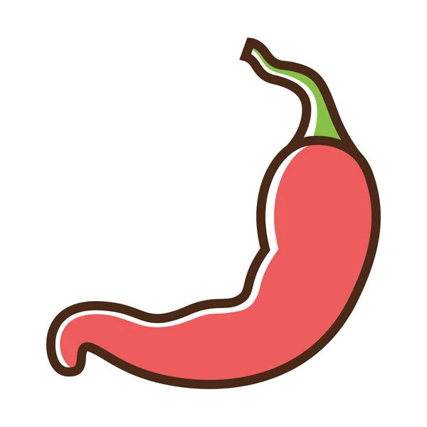 Color icon hot pepper — Stock Vector