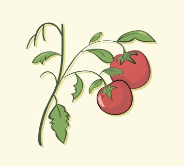 Aşçı hamburger yapar. Değiştirme yeteneği olan basit vektör illüstrasyonu.