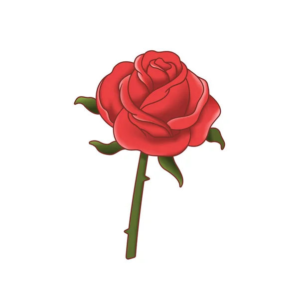 Rosa Roja Aislada Ilustración Vectorial — Vector de stock