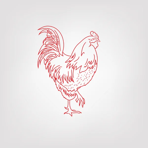 Vector image of an cock on white background — Stock Vector