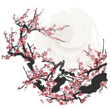 Gerçekçi sakura çiçeği - Japon kiraz ağacı beyaz arka planda izole edilmiş