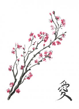 Gerçekçi sakura çiçeği - beyaz arka plan üzerinde izole Japon kiraz ağacı. Hiyeroglif 