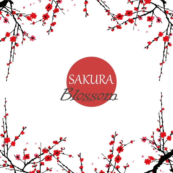 Sakura Japonya kiraz Şubesi çiçeklenme ile vektör çizim çiçek. Elle çizilmiş stili. — Stok Vektör