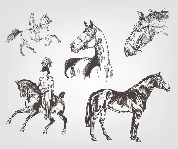 Atlar. Elle çizilmiş küme. El kroki at