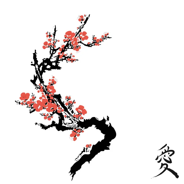 Gerçekçi sakura çiçeği - Japon kiraz ağacı beyaz arka planda izole edilmiş.