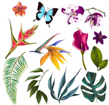 set with exotic flowers clipart