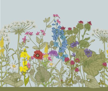 Vektör sorunsuz çiçek sınır.