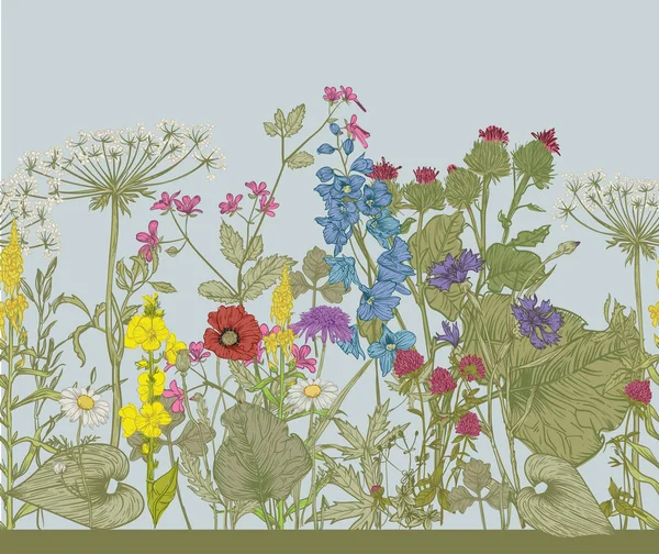 Bordure florale sans couture vectorielle . — Image vectorielle