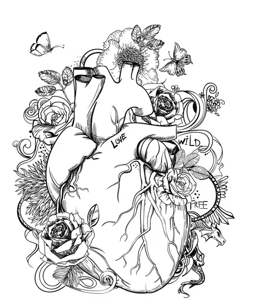 Corazón - imagen de anatomía con flores — Vector de stock