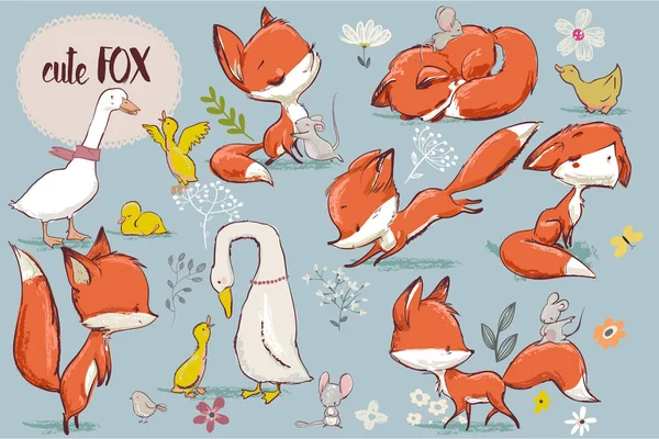 Set with cute fox and farm birds — Stock Vector
