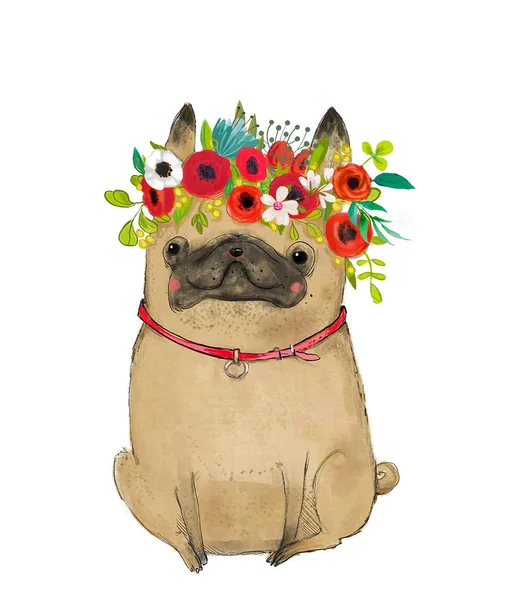 Cartoon pug with floral wreath — Stock Photo, Image