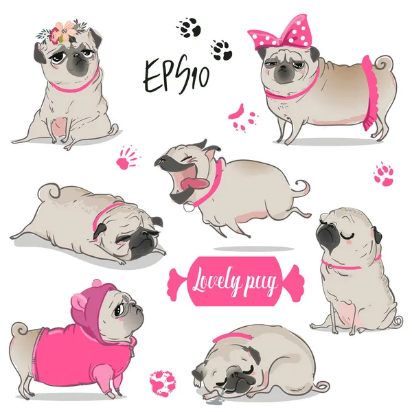 Conjunto com bonito pug desenhos animados —  Vetores de Stock