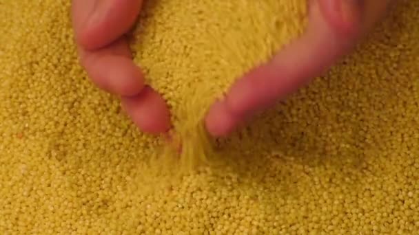 Female hands holding a pot with raw millet — Stock Video
