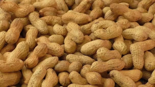 Suché pražené arašídy — Stock video