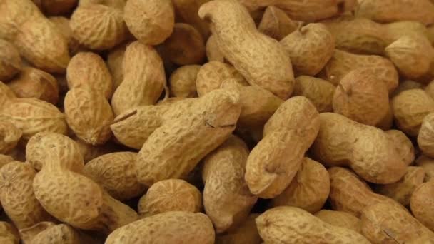 Dry roasted peanuts — Stock Video