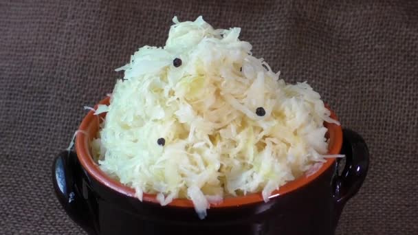 Homemade sauerkraut stew, in a large pot — Stock Video