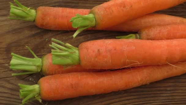 Свежая органическая морковь с зелеными верхушками — стоковое видео