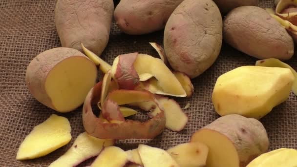 Hromadu starých brambory s klíčky — Stock video