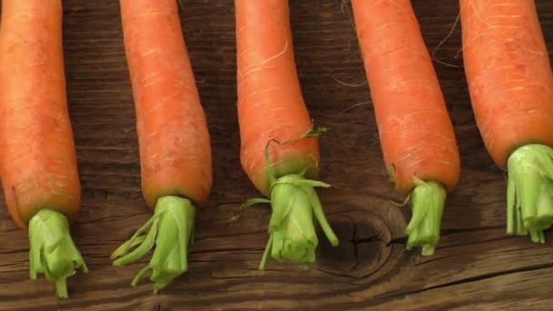 Frische Bio-Karotten mit grünen Spitzen — Stockvideo