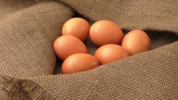 Куриные яйца на коричневом мешковине — стоковое видео