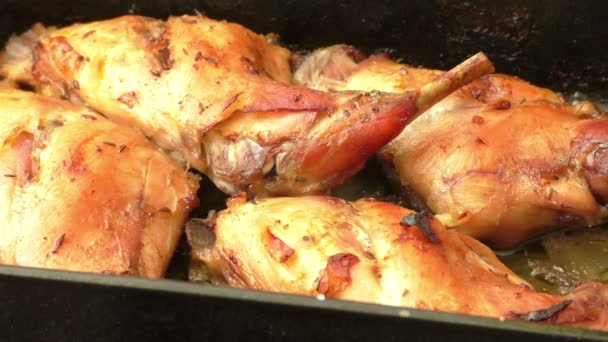 Carne de conejo tostada jugosa en una sartén — Vídeos de Stock