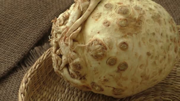 Basket with a one big head of celery — Stock Video