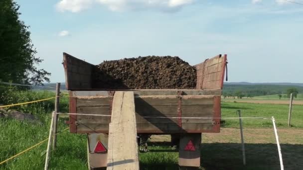 Vagon araçla bir at çiftliğinde At gübresi — Stok video