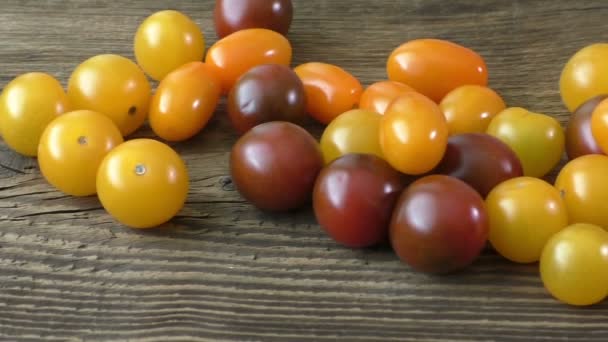 Cherry tomatoes on rustic wooden background — Stock Video